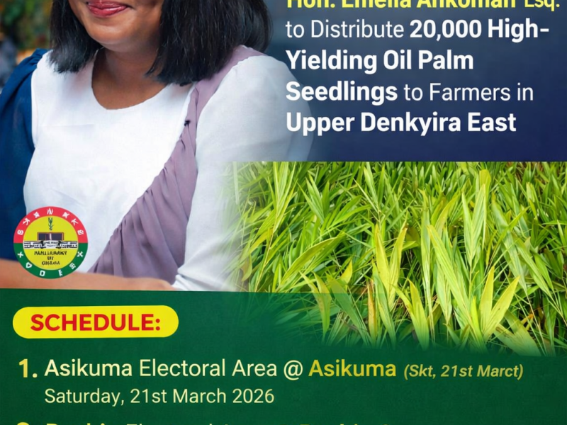 GOOD NEWS: 20,000 High-Yield Oil Palm Seedlings for Farmers in Upper Denkyira&nbsp;East